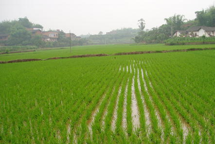 農(nóng)田水利和大農(nóng)機建設(shè)